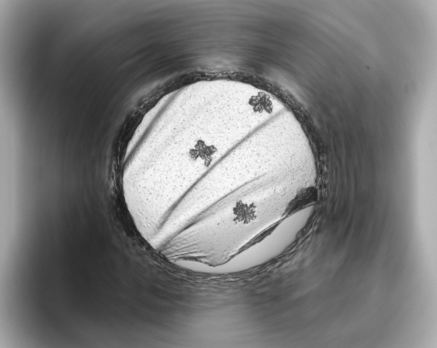 X0000095691016200802051308