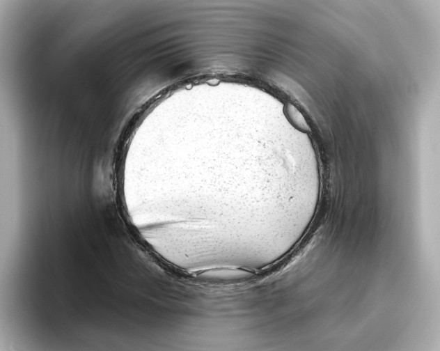 X0000095691018200802051308