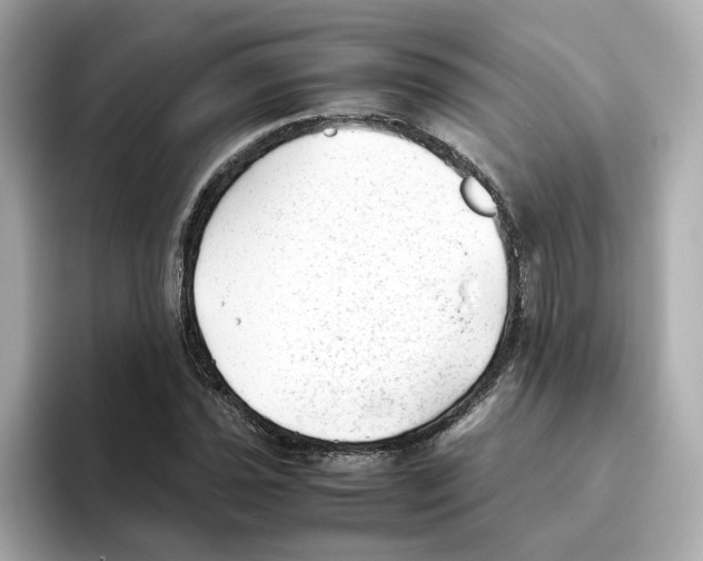 X0000095691021200802051308