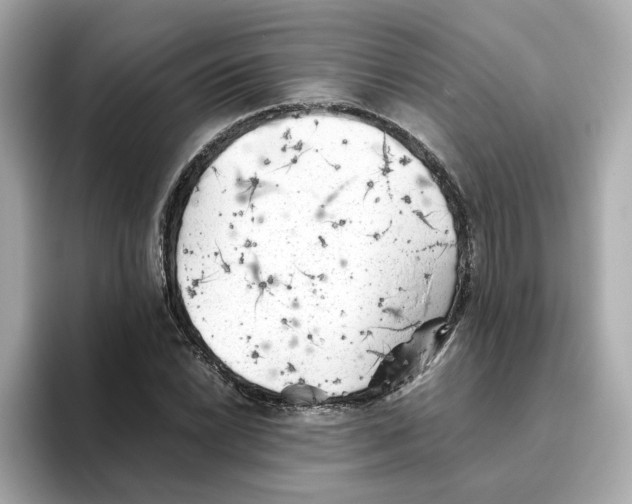 X0000095691022200802051308