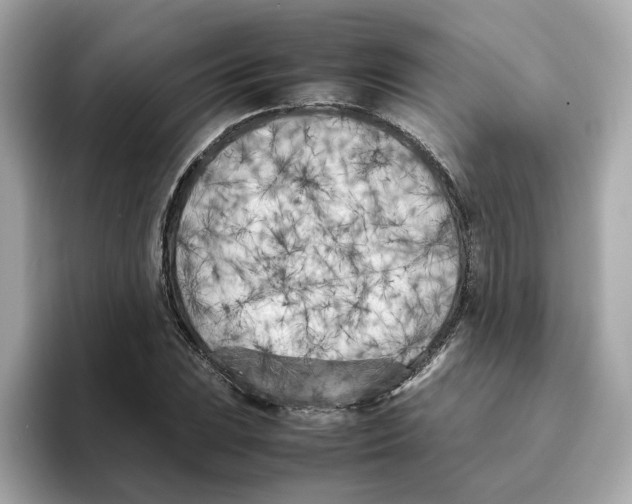 X0000095691023200802051308