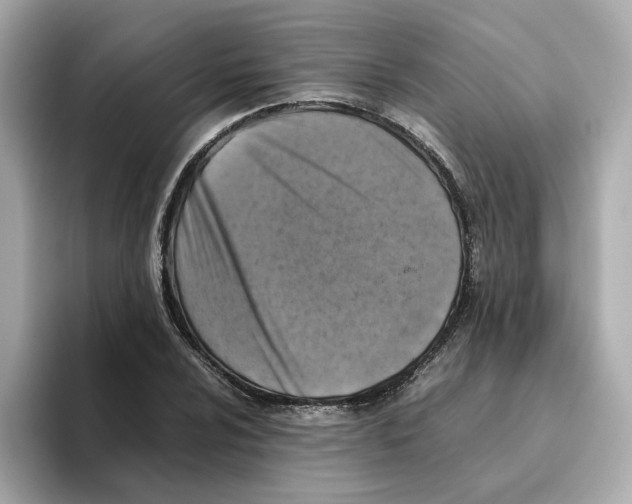 X0000095691024200802051308