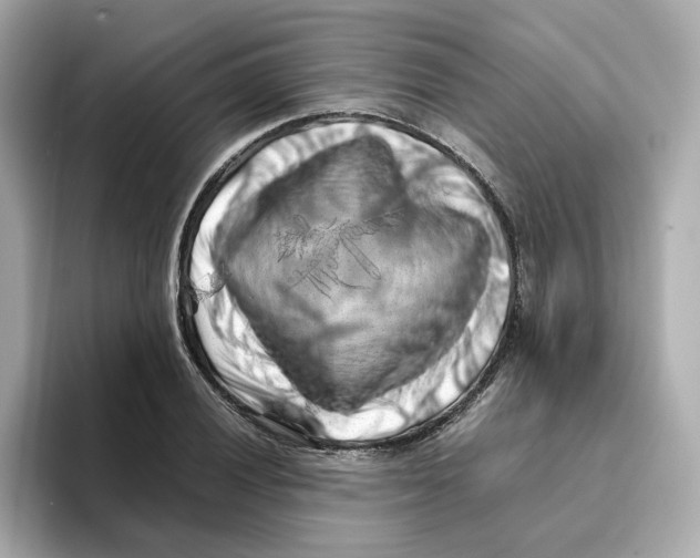 X0000095691028200802051308