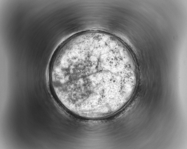 X0000095691032200802051308