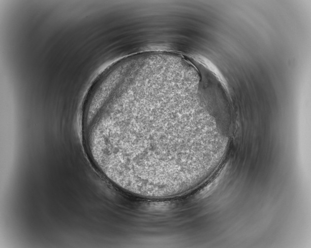 X0000095691035200802051308