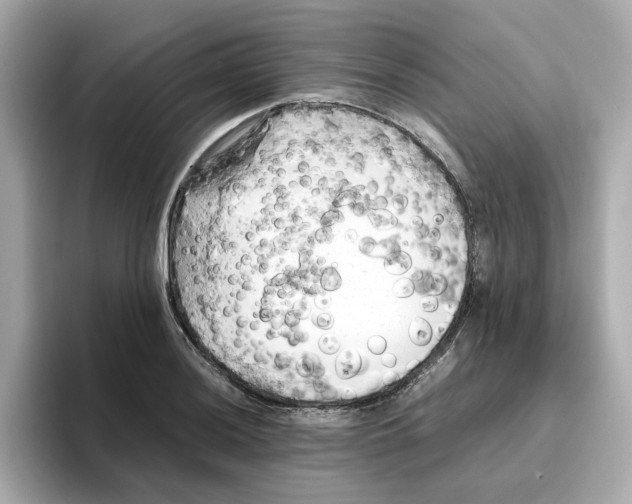 X0000095691036200802051308
