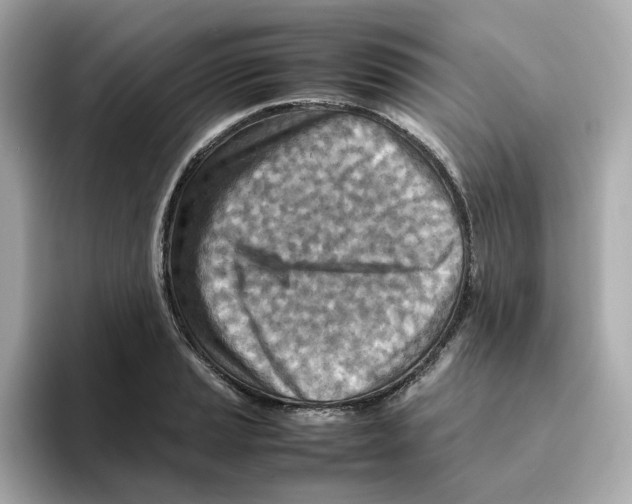 X0000095691037200802051308