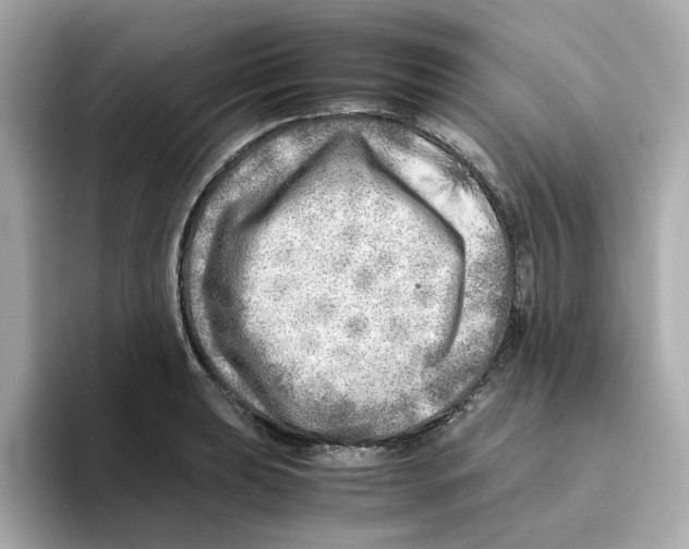 X0000095691039200802051308