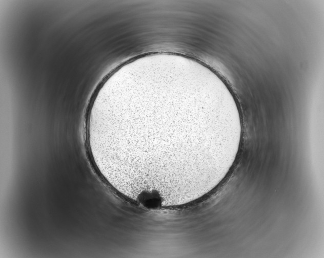 X0000095691040200802051308