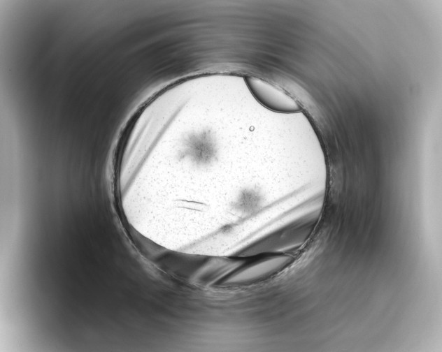 X0000095691046200802051308