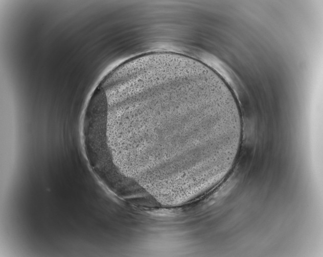 X0000095691048200802051308
