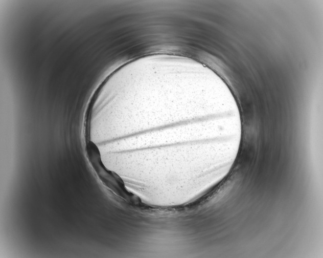 X0000095691050200802051308