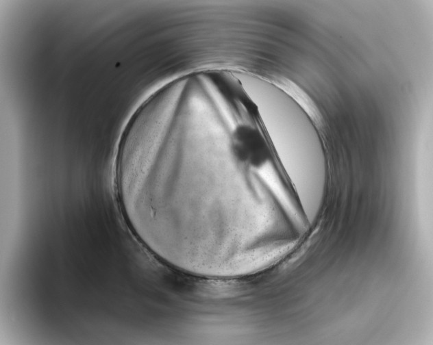 X0000095691052200802051308