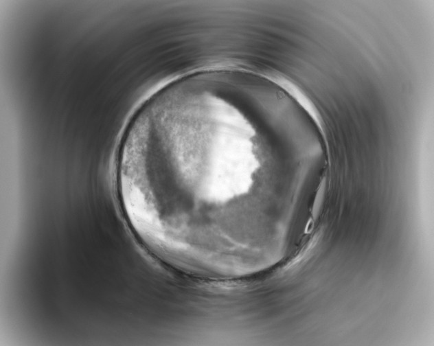 X0000095691053200802051308