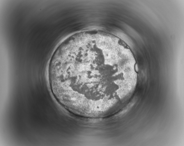 X0000095691055200802051308