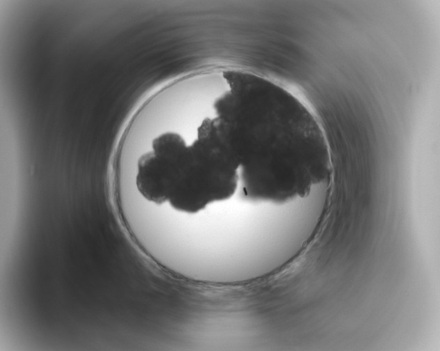 X0000095691056200802051308
