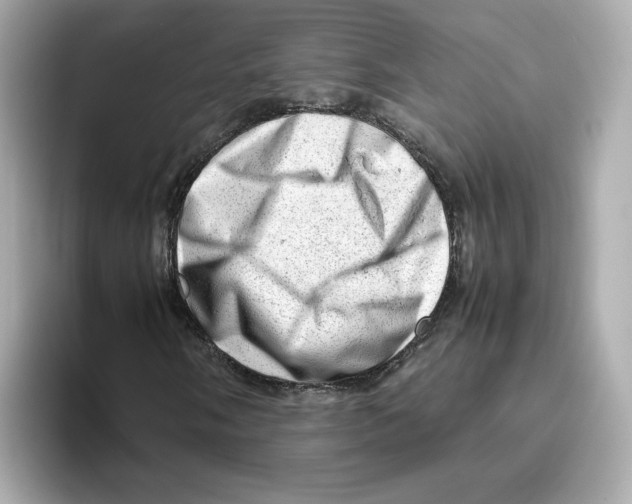 X0000095691058200802051308