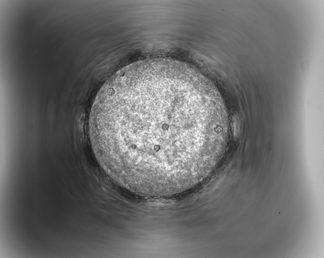 X0000095691059200802051308