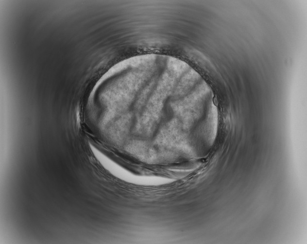 X0000095691060200802051308