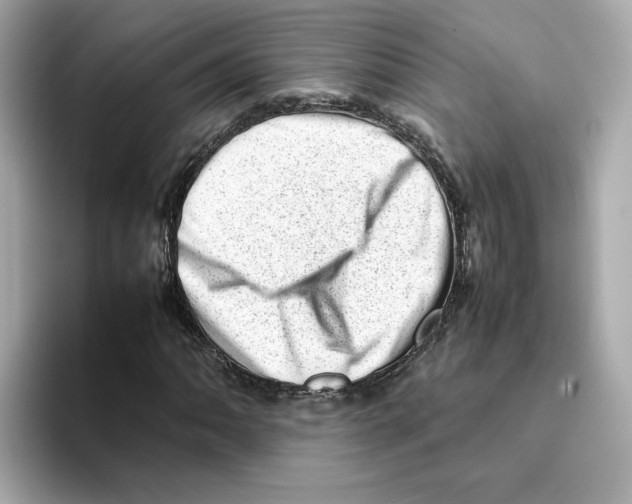 X0000095691062200802051308