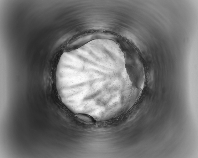 X0000095691064200802051308