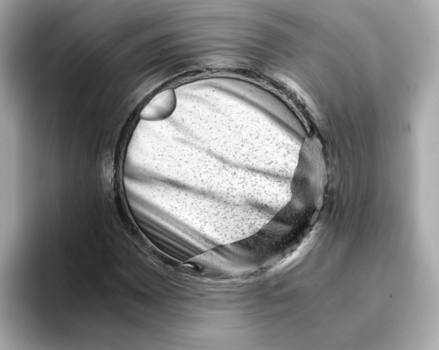 X0000095691065200802051308