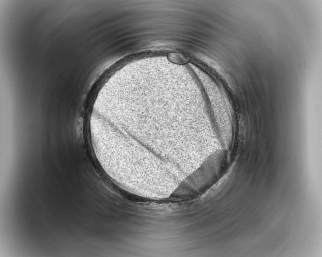 X0000095691066200802051308