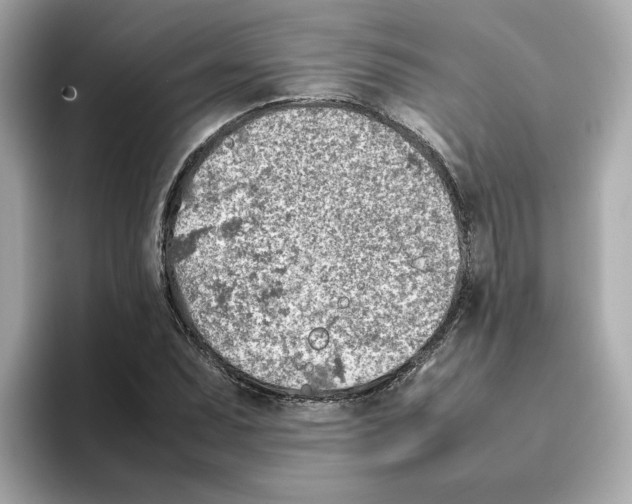 X0000095691071200802051308