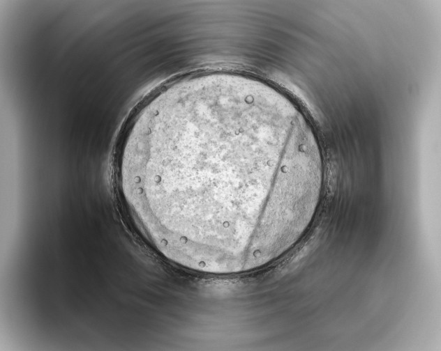 X0000095691074200802051308
