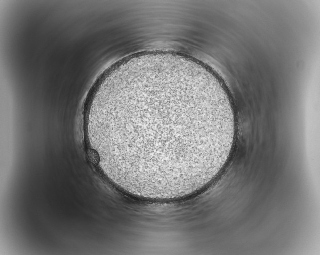 X0000095691075200802051308