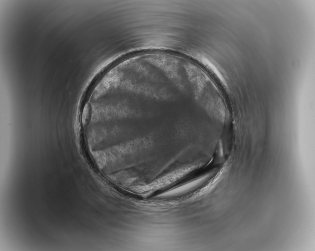 X0000095691077200802051307