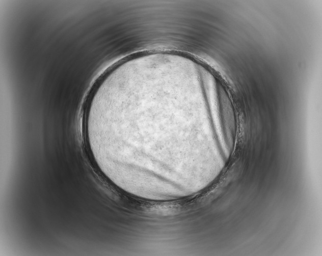 X0000095691078200802051307