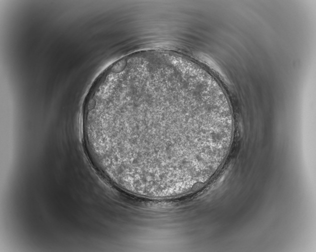 X0000095691079200802051307