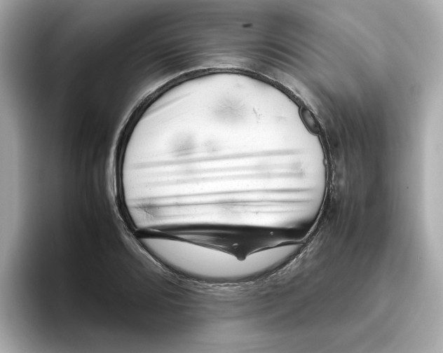 X0000095691080200802051307