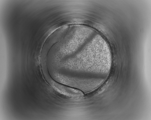 X0000095691081200802051307