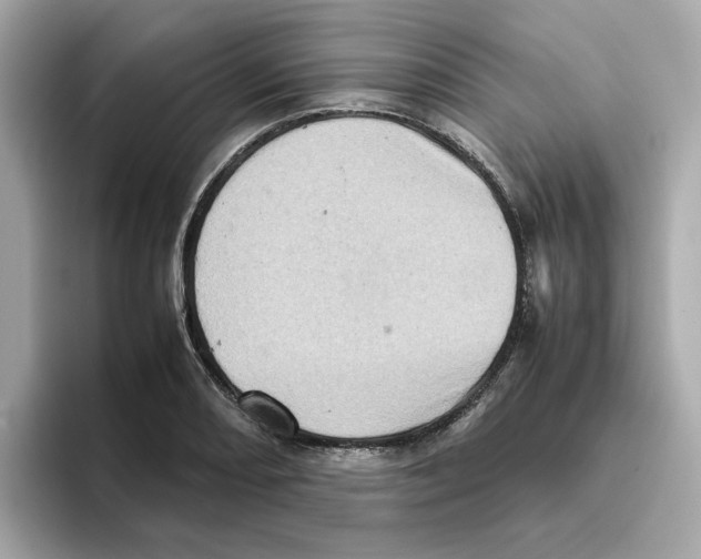 X0000095691082200802051307