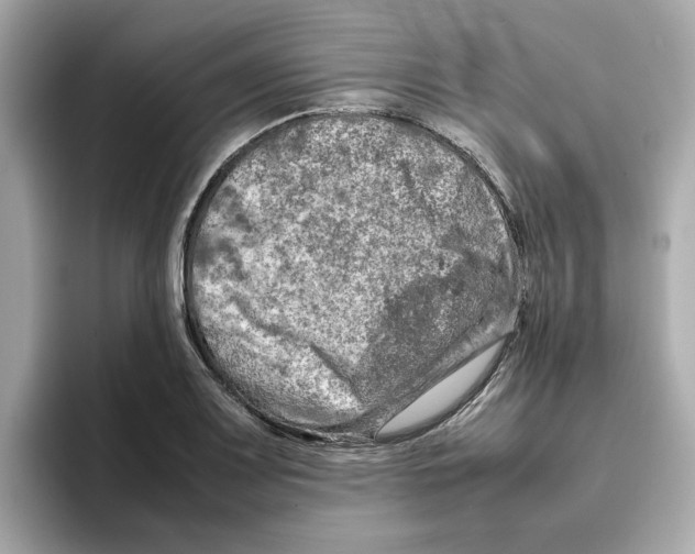 X0000095691083200802051307