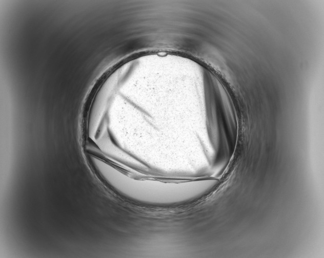 X0000095691085200802051307