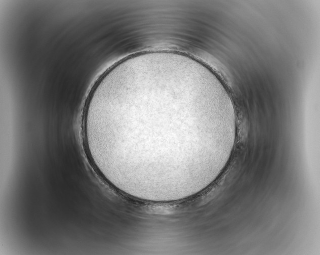 X0000095691086200802051307