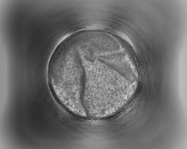 X0000095691087200802051307