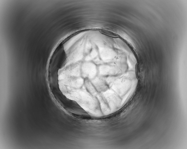 X0000095691088200802051307