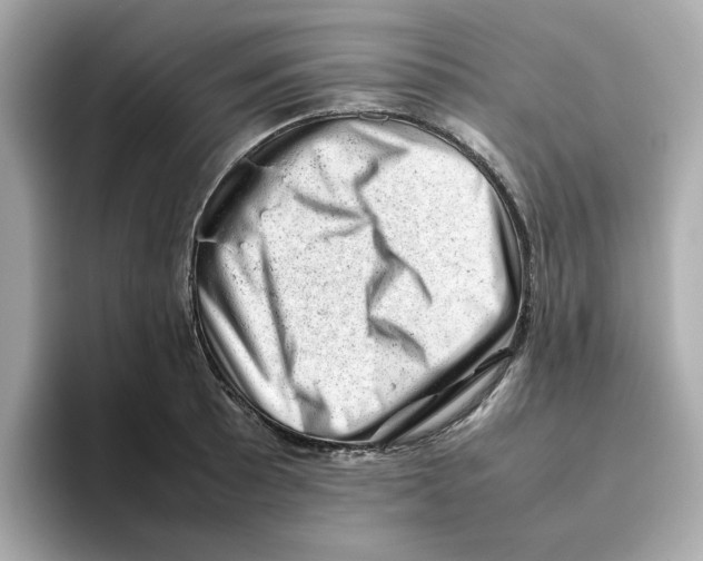 X0000095691089200802051307