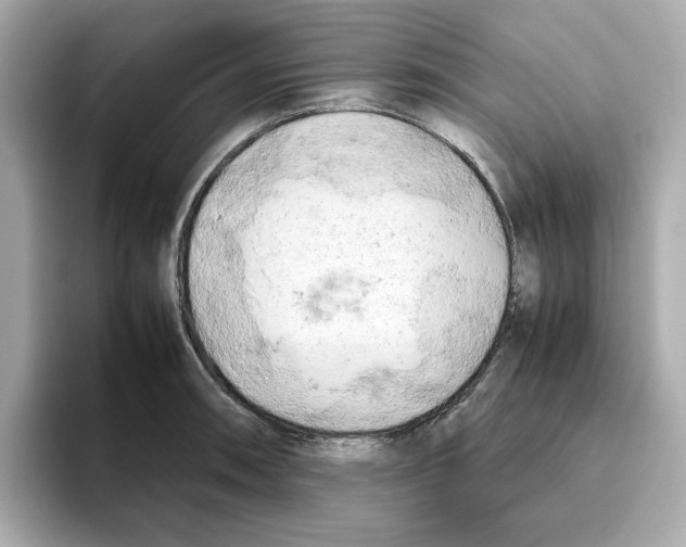 X0000095691090200802051307