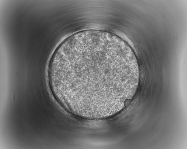 X0000095691091200802051307