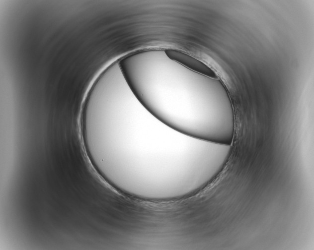 X0000095691092200802051307