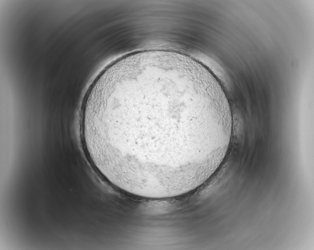 X0000095691094200802051307