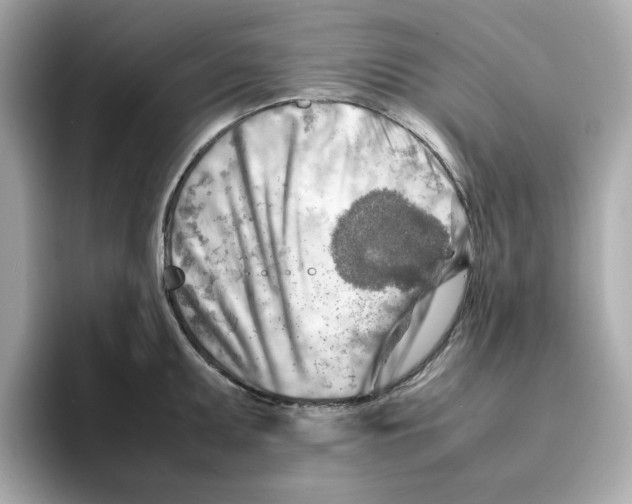 X0000095691095200802051307