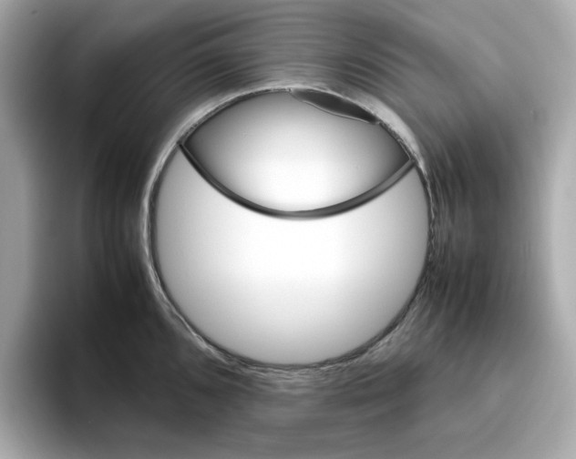 X0000095691096200802051307