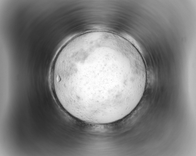 X0000095691098200802051307