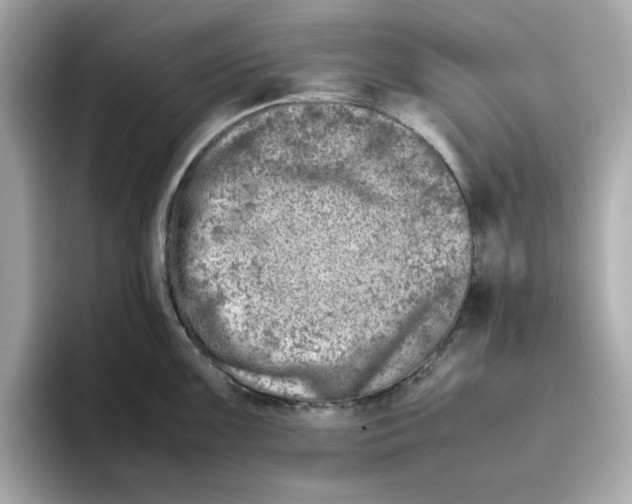 X0000095691099200802051307
